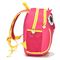 Πολλών χρήσεων τσάντα δημοτικού σχολείου κουκουβαγιών νύχτας/νάυλον τσάντα ώμων για Teens